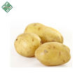 Vegetable Fresh Potato Price